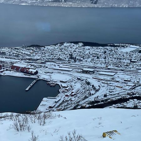 Apartmán Narvik Sentrum Exteriér fotografie